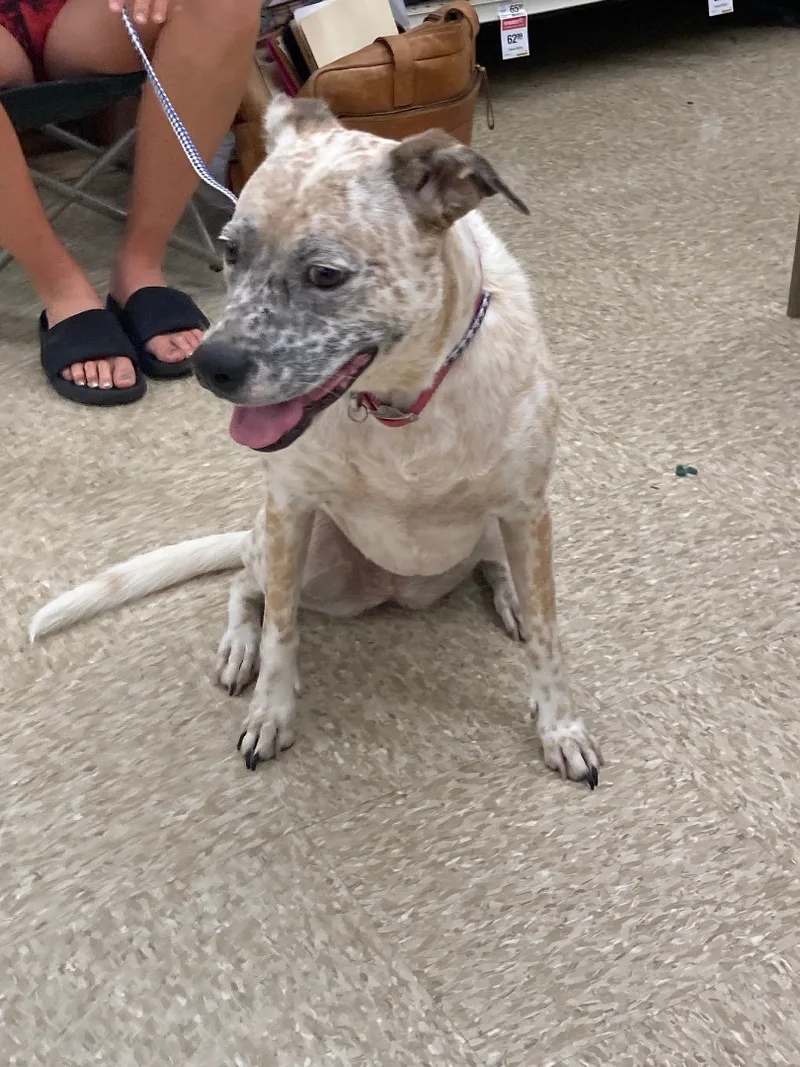 Freckles thumbnail 2