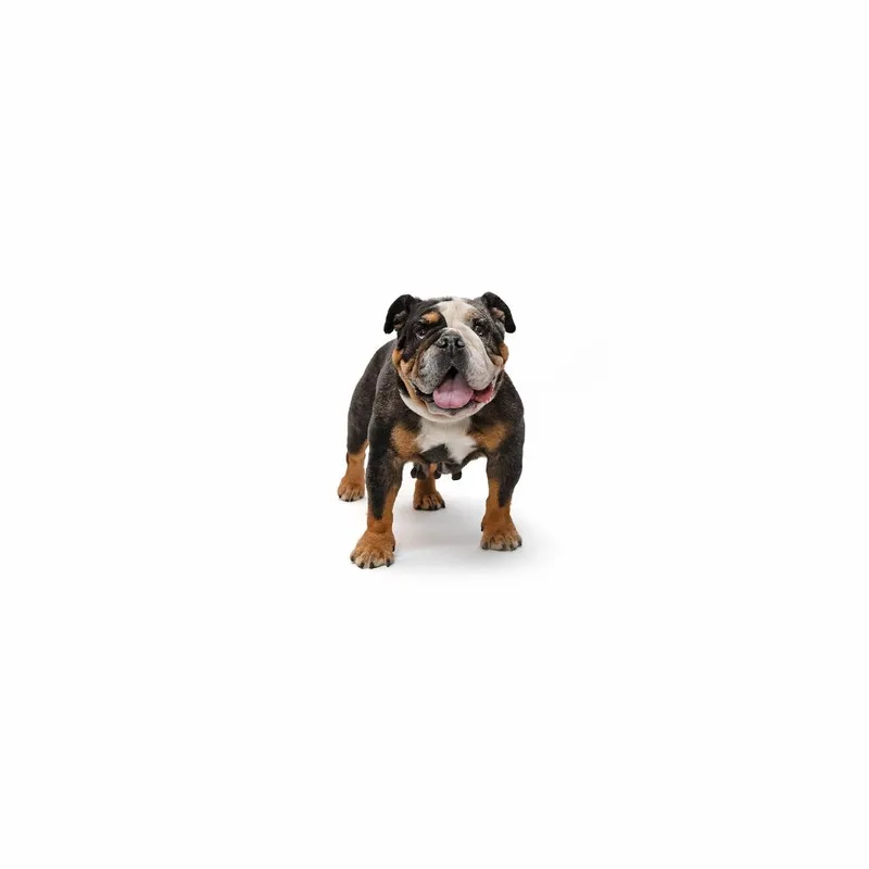 Ms. Ruby