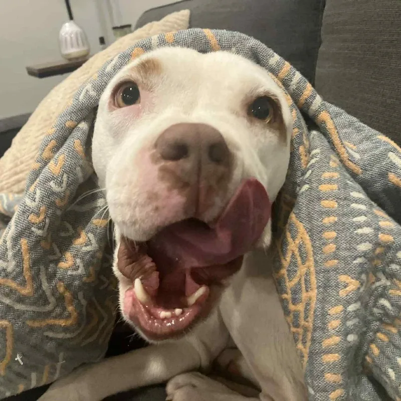 Snowflake thumbnail 3