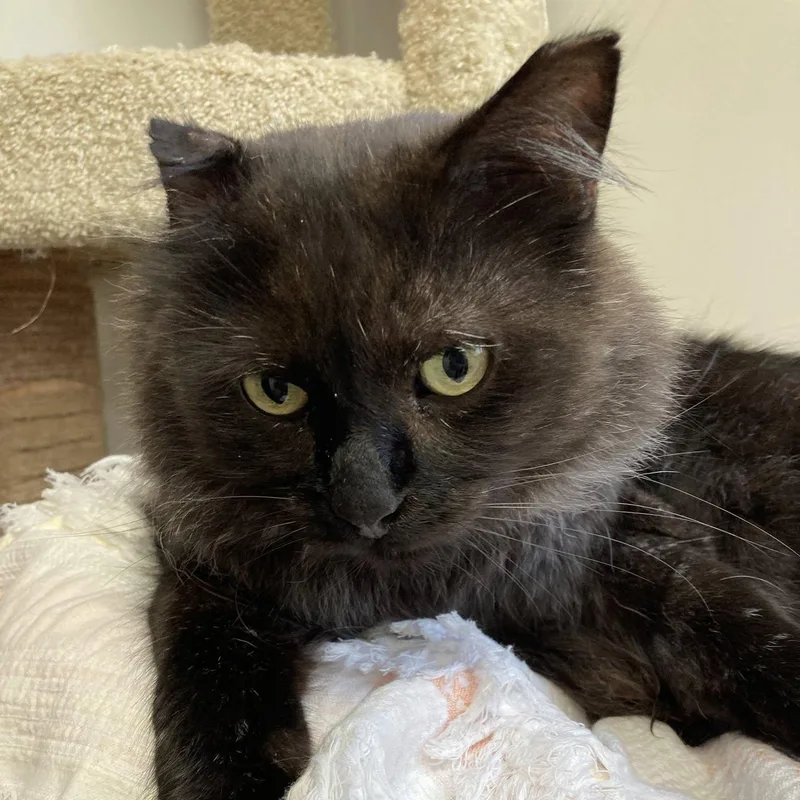 Jonathan thumbnail 3