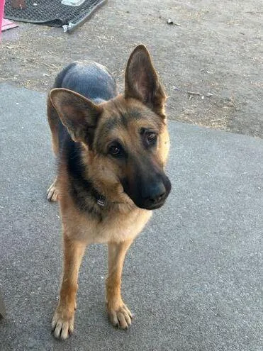 Josie C. thumbnail 2