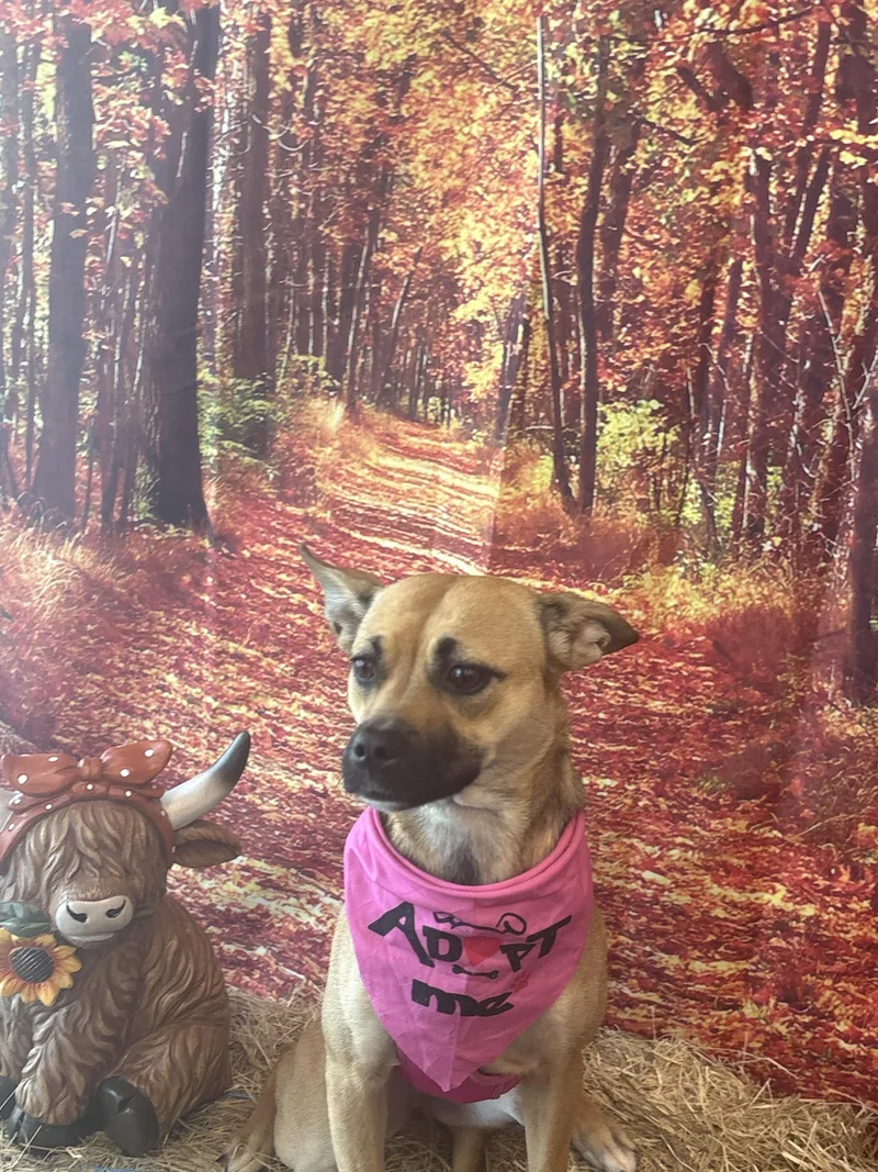 Macy Grayber thumbnail 5