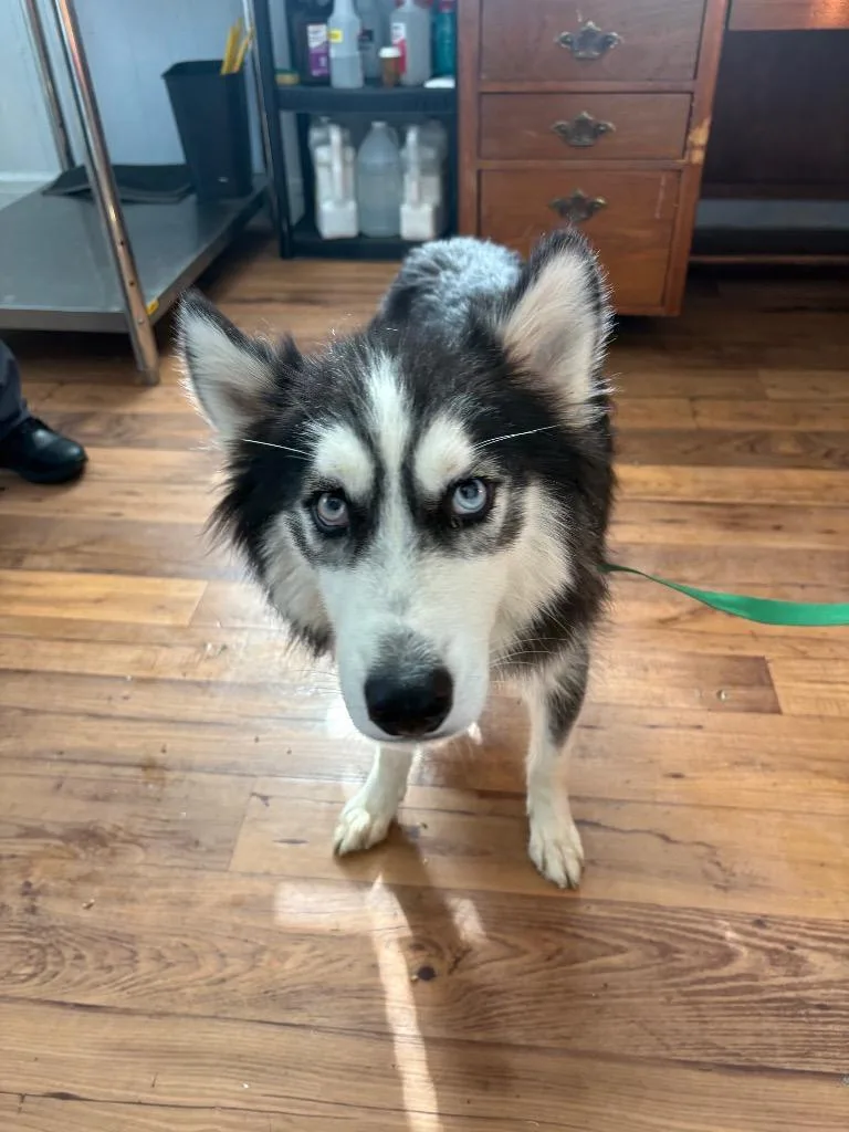 Hades thumbnail 3