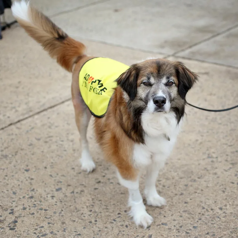 Chester G thumbnail 2