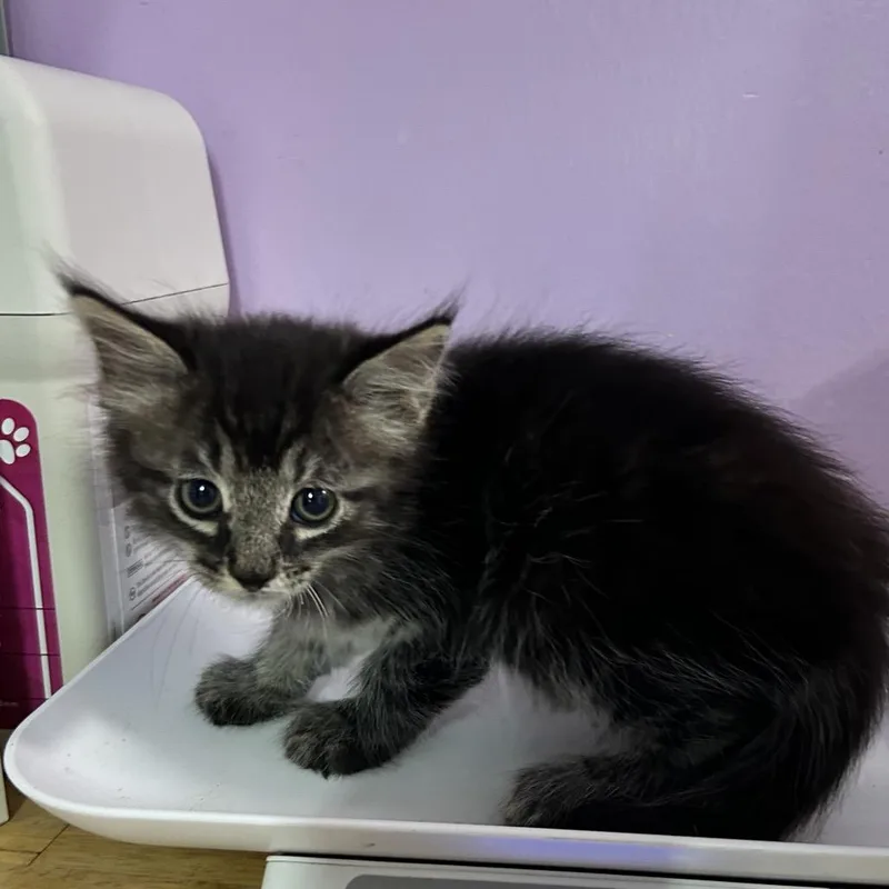 Coffee In The Morning thumbnail 3