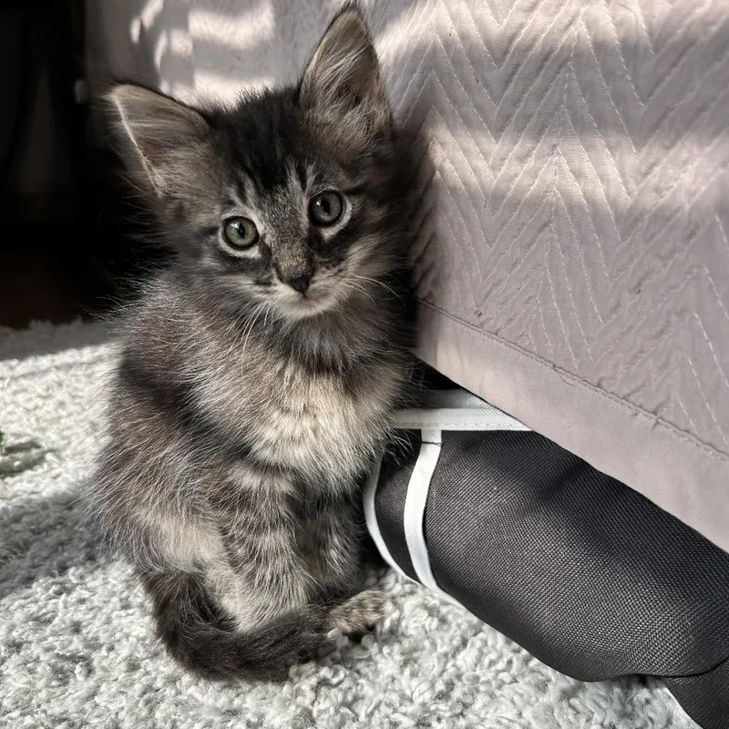 Coffee In The Morning thumbnail 5