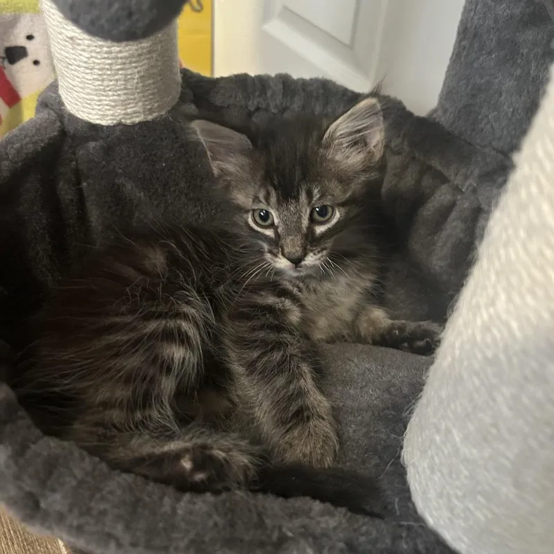 Coffee In The Morning thumbnail 6