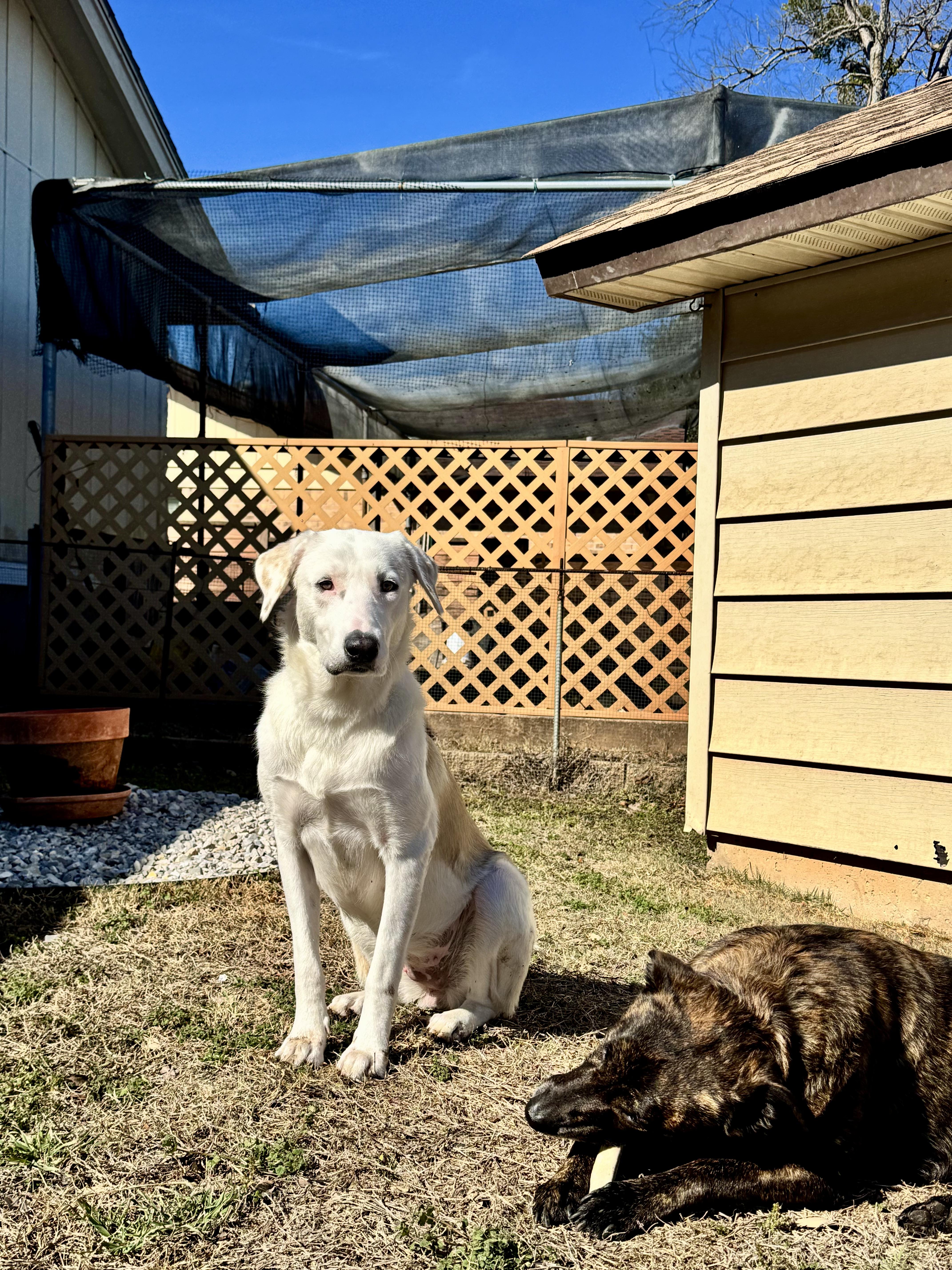 Clementine thumbnail 2