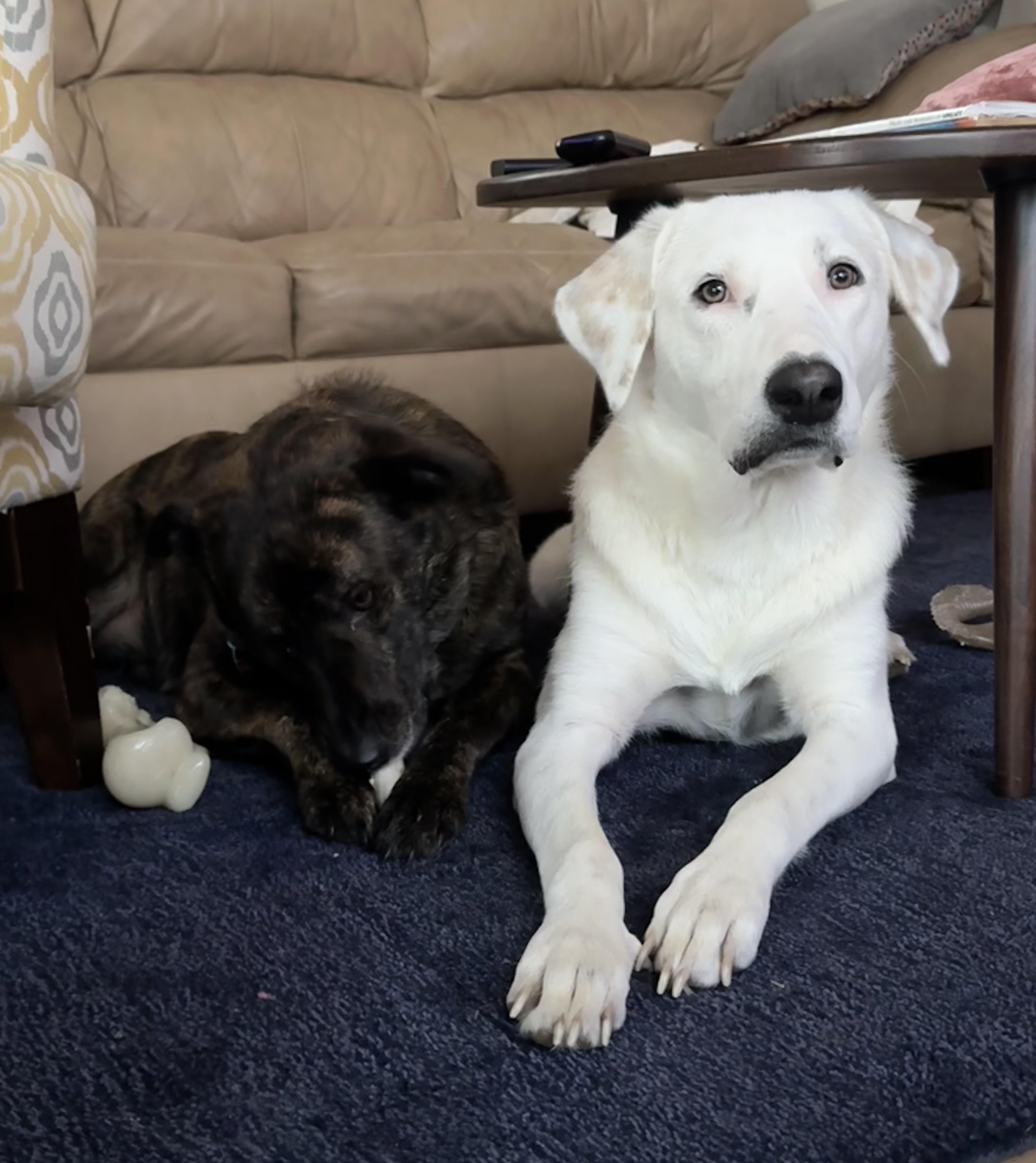 Clementine thumbnail 4