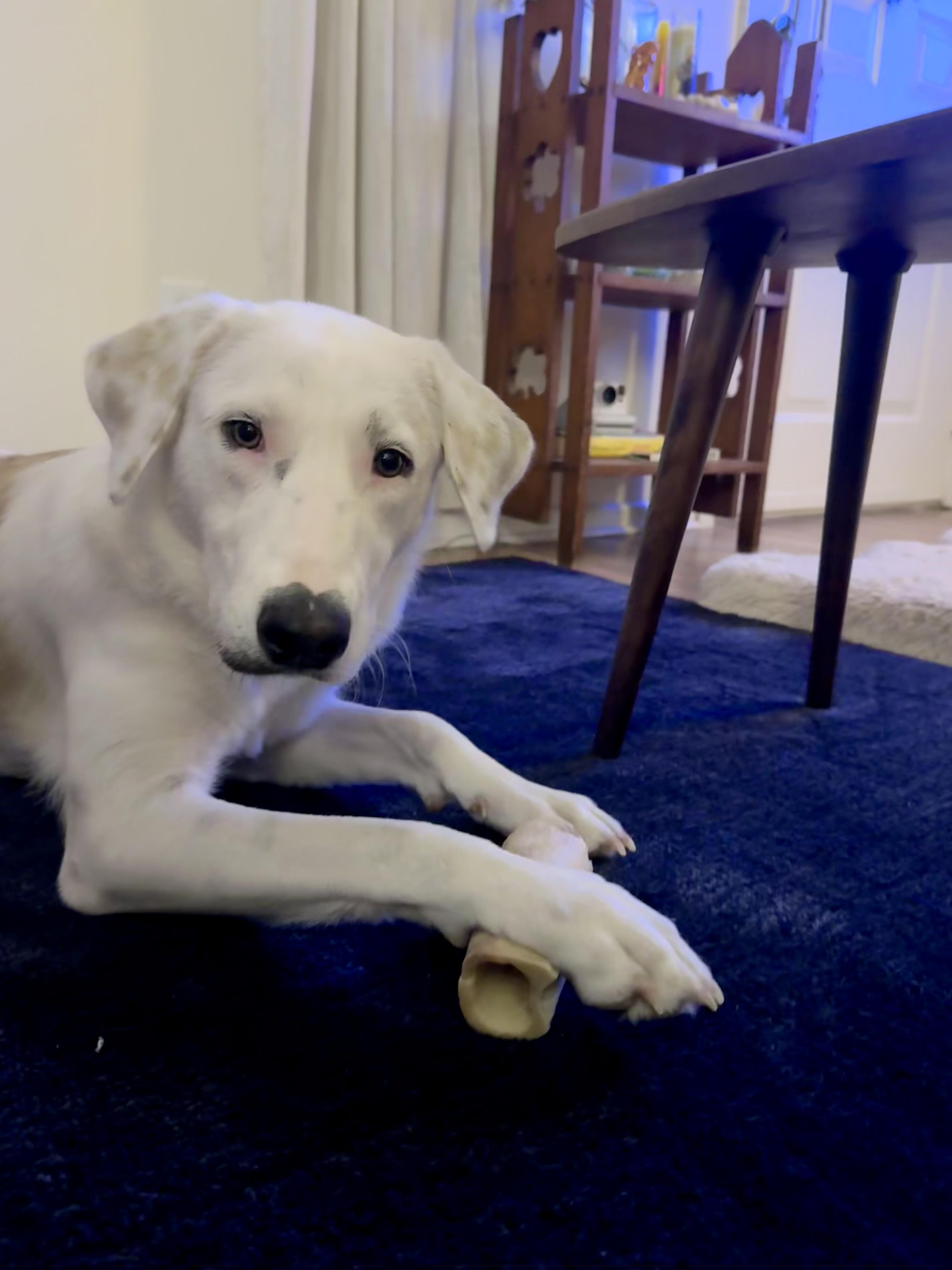 Clementine thumbnail 5