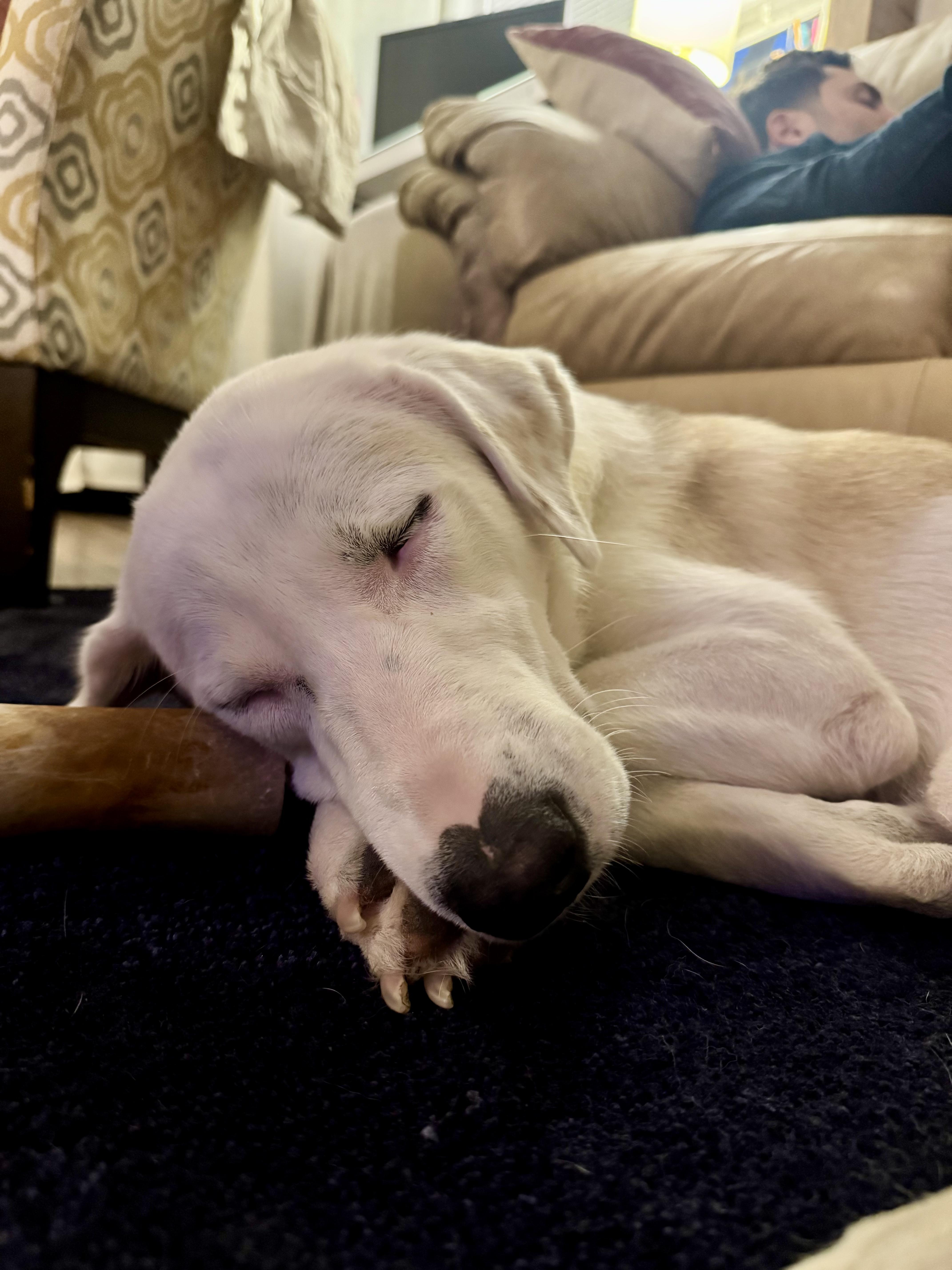 Clementine thumbnail 6