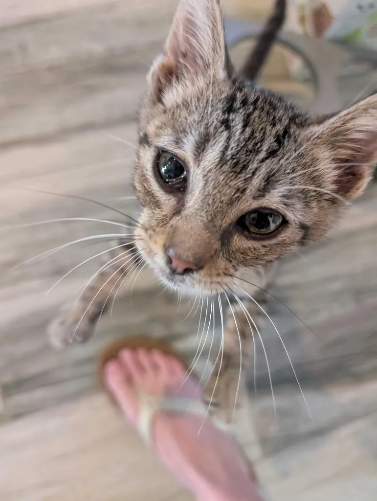 Timmy thumbnail 3