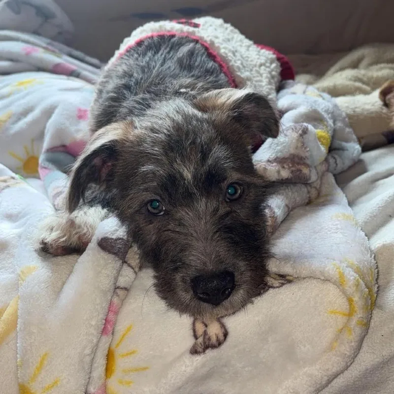 Monica D thumbnail 2