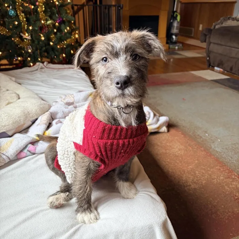 Monica D thumbnail 3