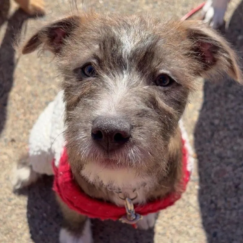 Monica D thumbnail 5