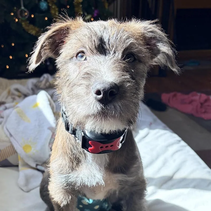 Monica D thumbnail 6