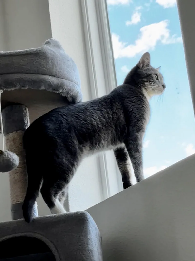 Stormi thumbnail 4