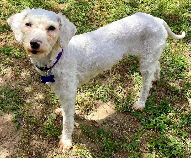 Elsa And Maria thumbnail 2