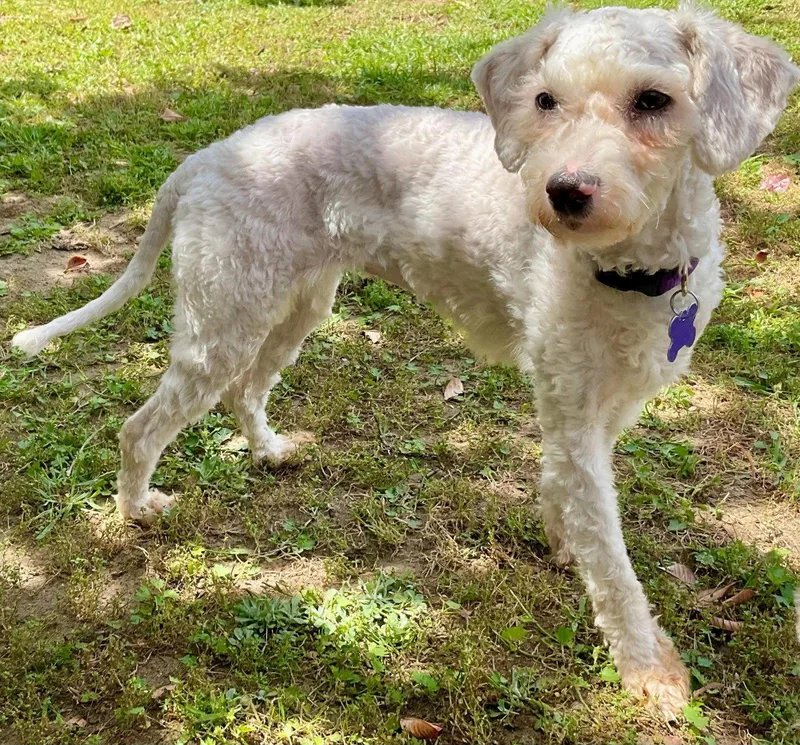 Elsa And Maria thumbnail 3