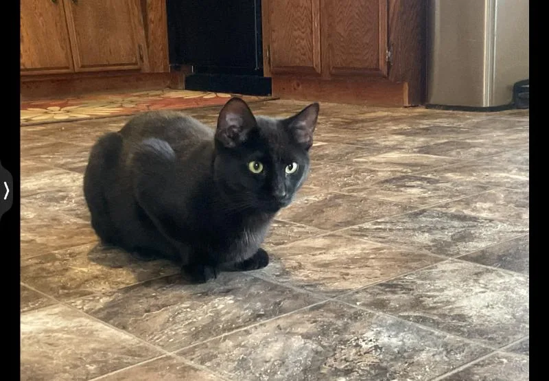 Hercules thumbnail 2