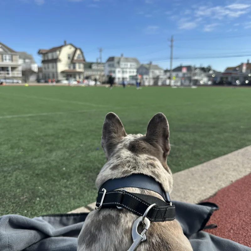 Gary Boris ~ Local thumbnail 2