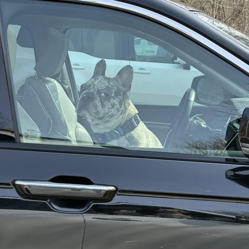 Gary Boris ~ Local thumbnail 3