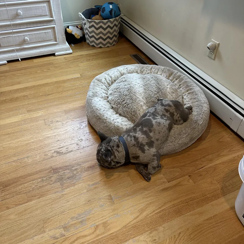 Gary Boris ~ Local thumbnail 4