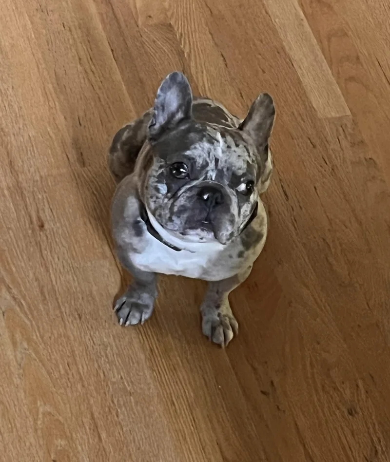 Gary Boris ~ Local thumbnail 5