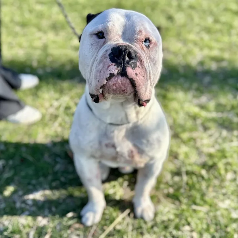 Dale ~ Coming Soon!!! thumbnail 2