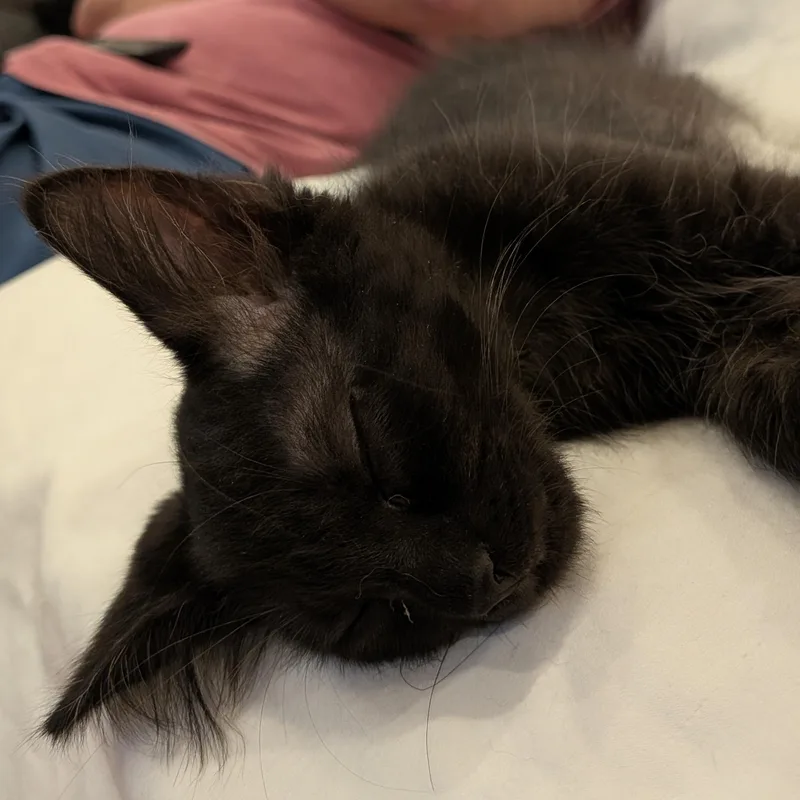 Sasha thumbnail 5