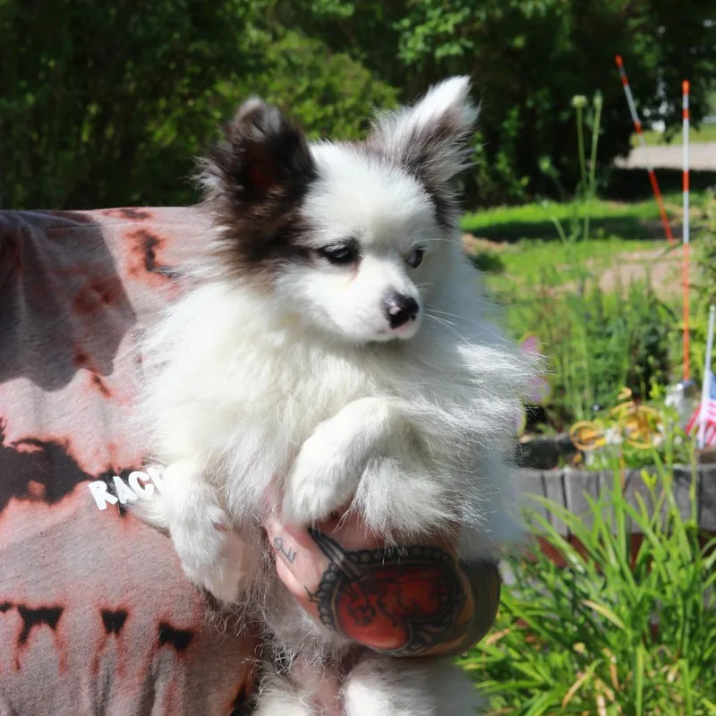CT Peanut avail Jul thumbnail 5