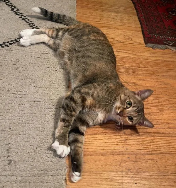 Rosie
