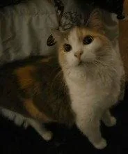 Macie thumbnail 2