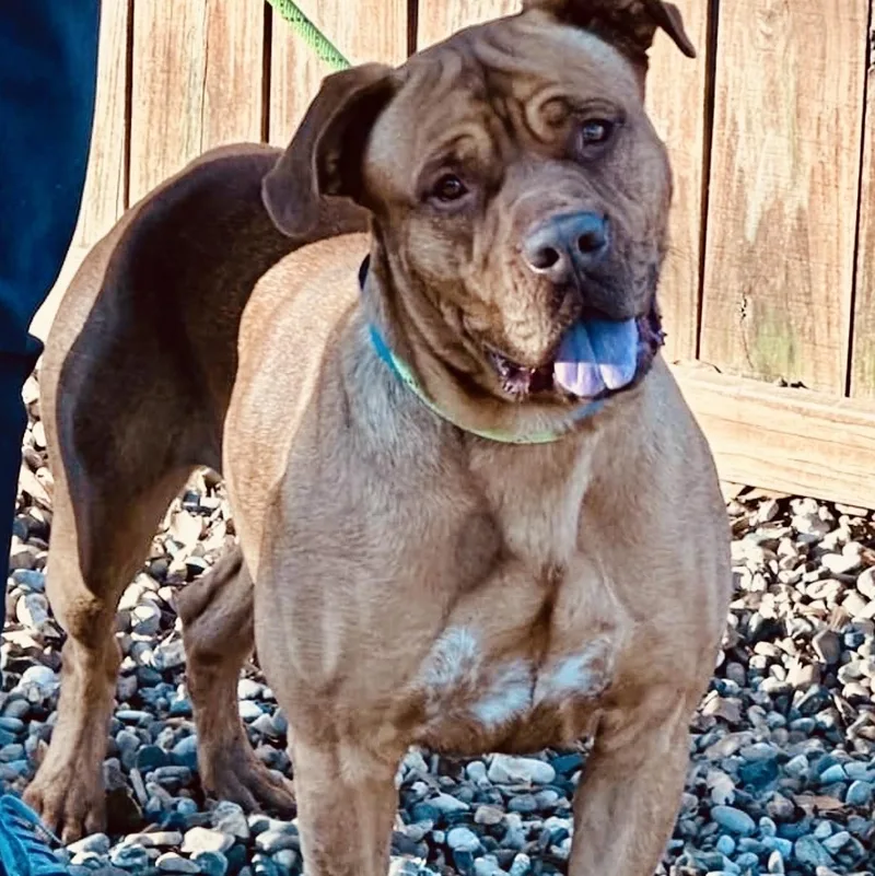 Danielle thumbnail 2