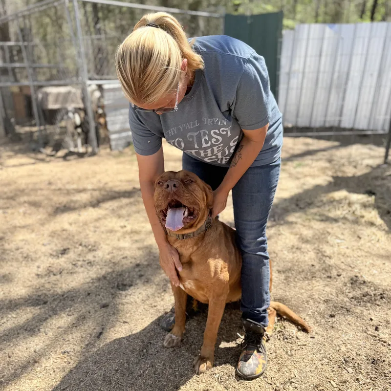 Danielle thumbnail 6