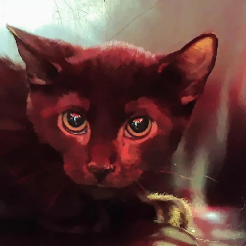 Molasses