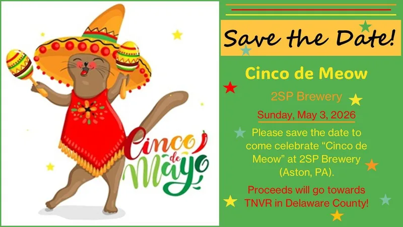 Cinco De Meow At