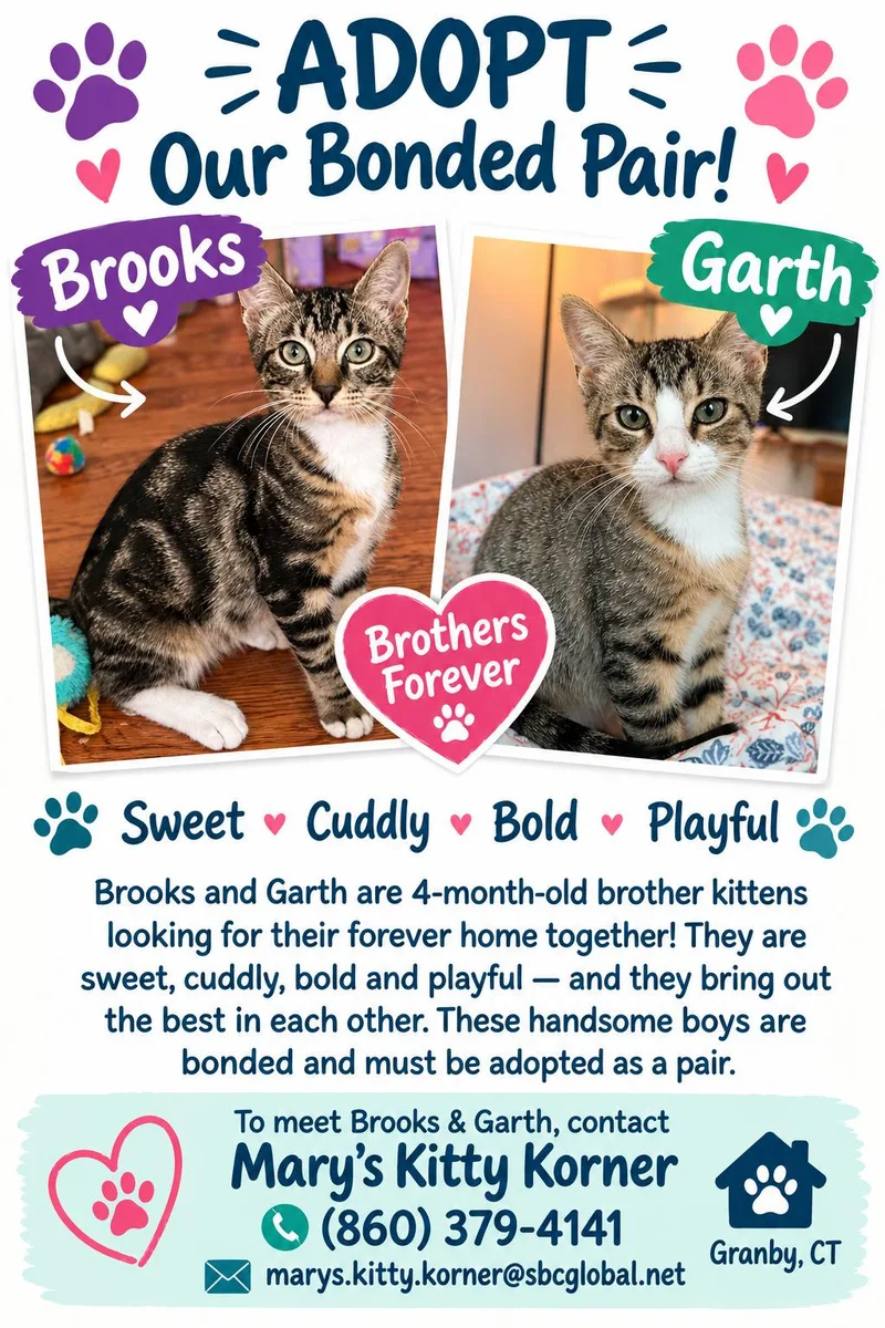 URGENT Garth and Brooks thumbnail 2