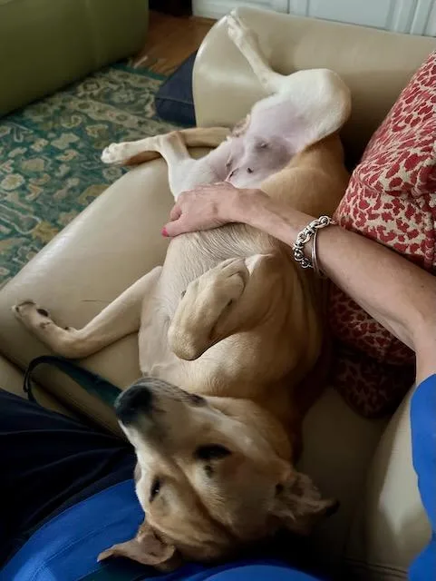 Brave Betty thumbnail 4