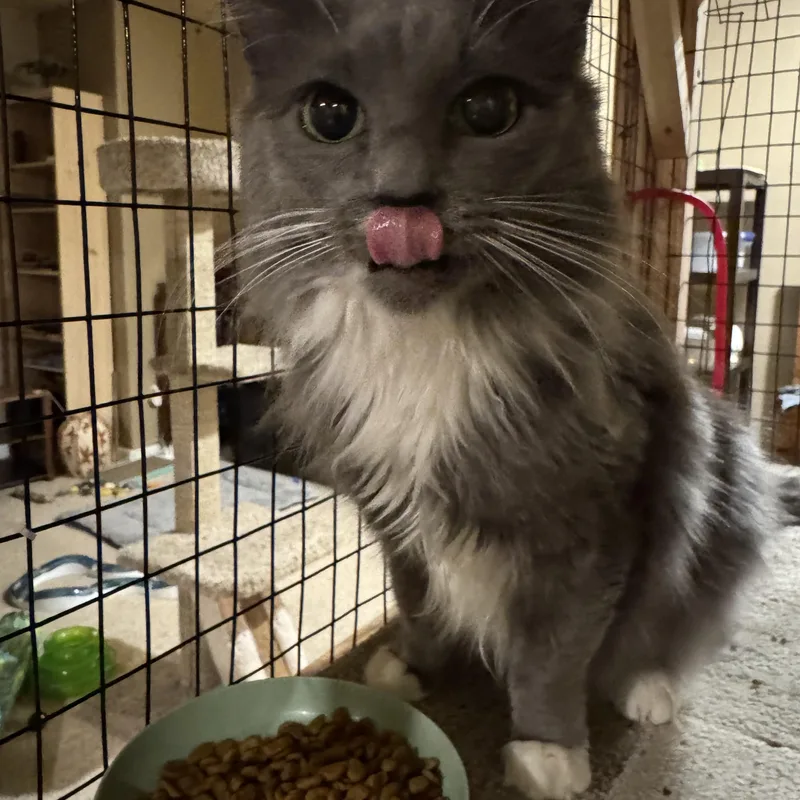 Esmeralda: The Patient Soul thumbnail 2