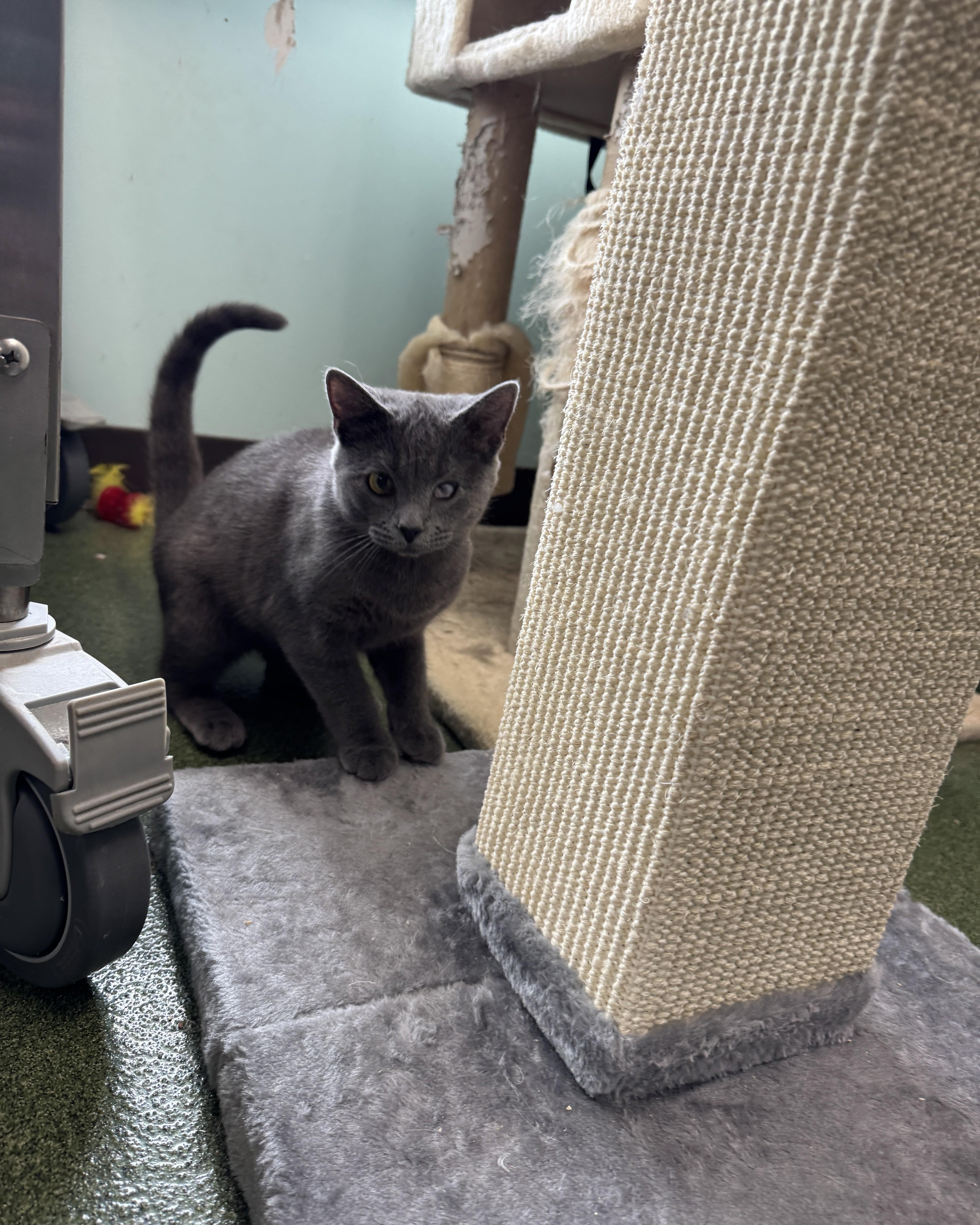 Wanda & Waverly thumbnail 3