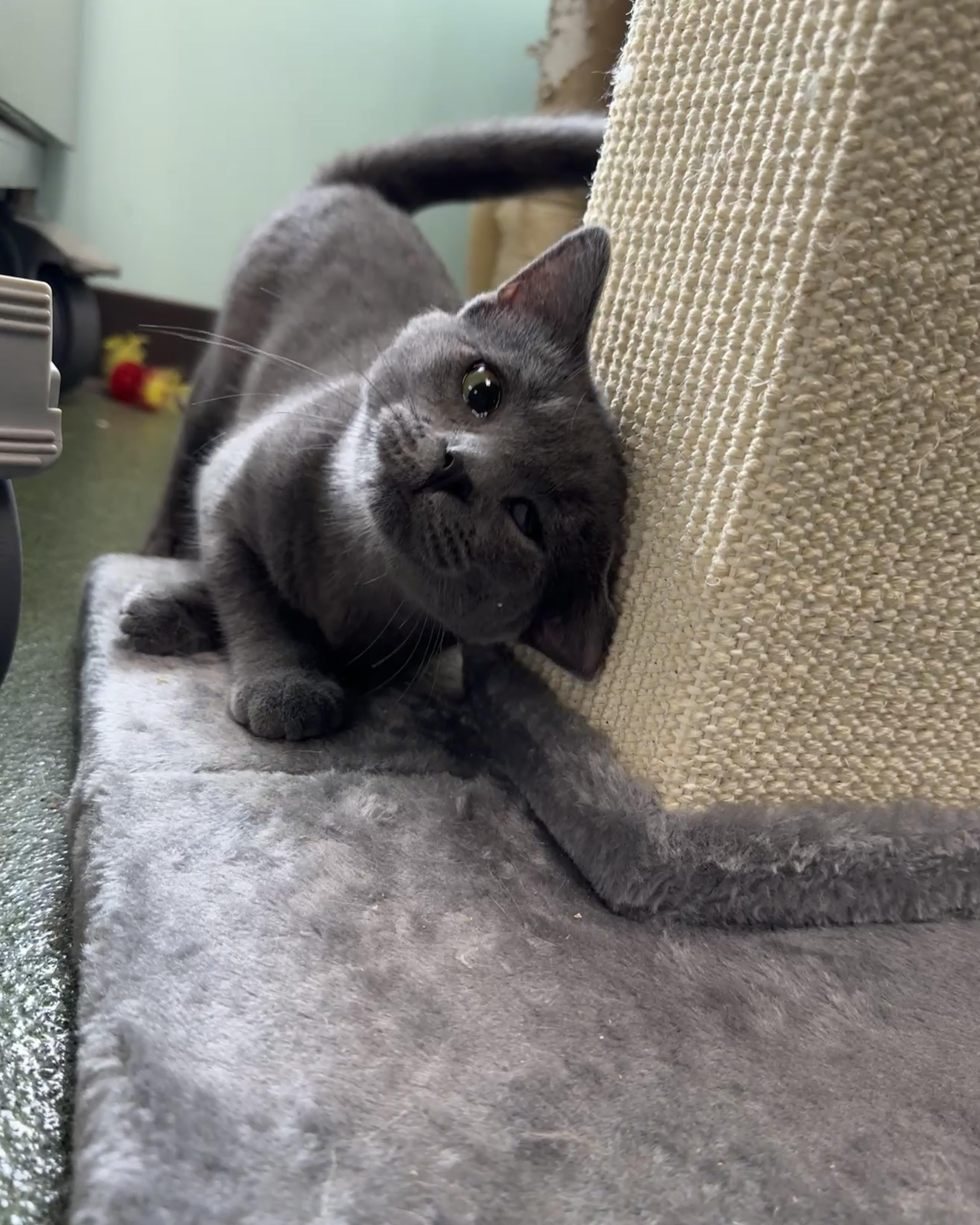 Wanda & Waverly thumbnail 4