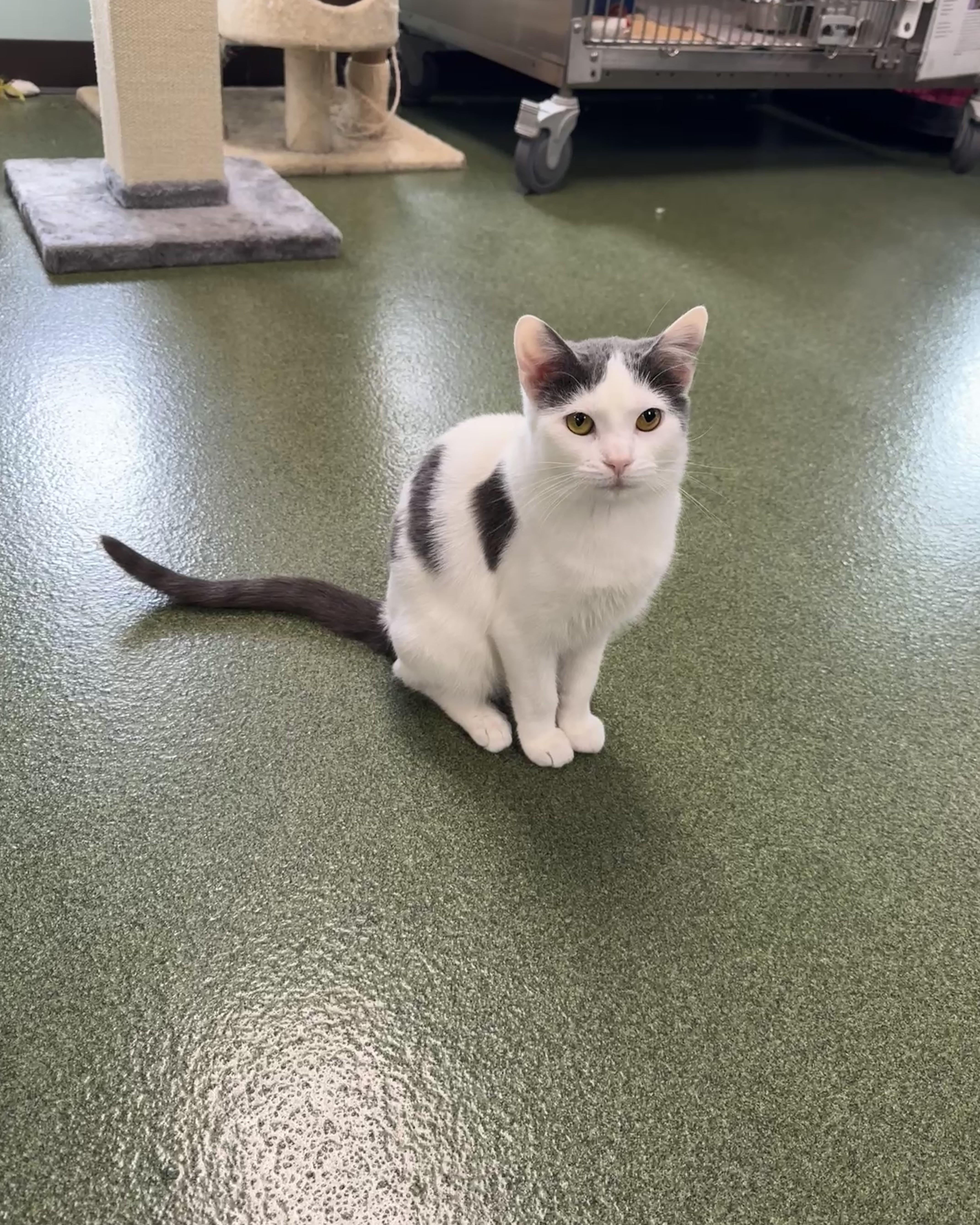 Wanda & Waverly thumbnail 5