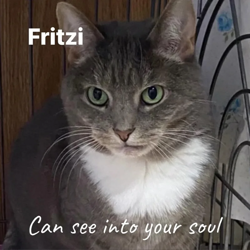 Fritzi thumbnail 2