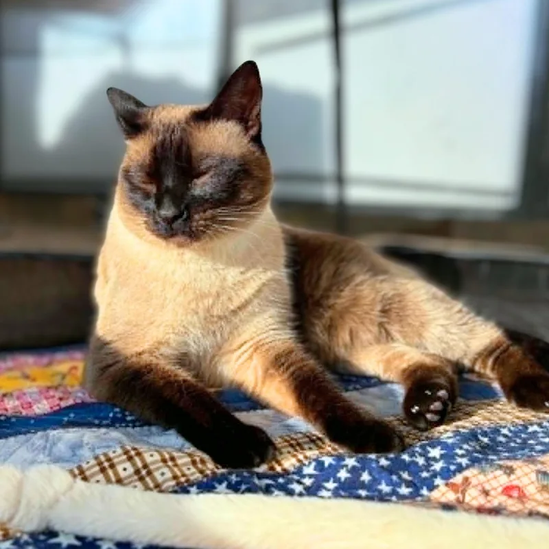 Lucille thumbnail 6