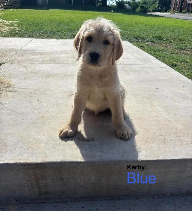Kerby