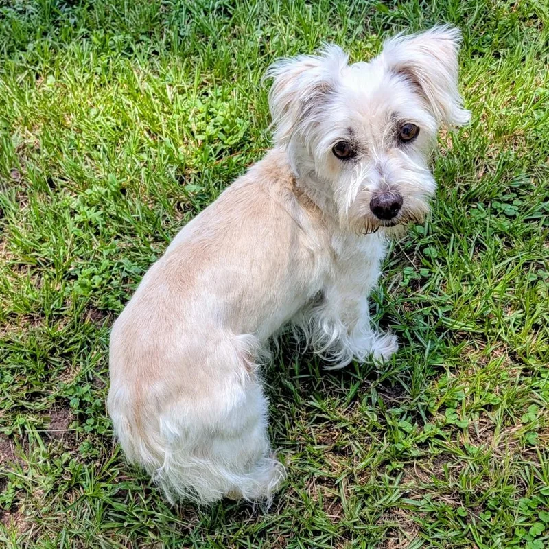 Penny Paige
