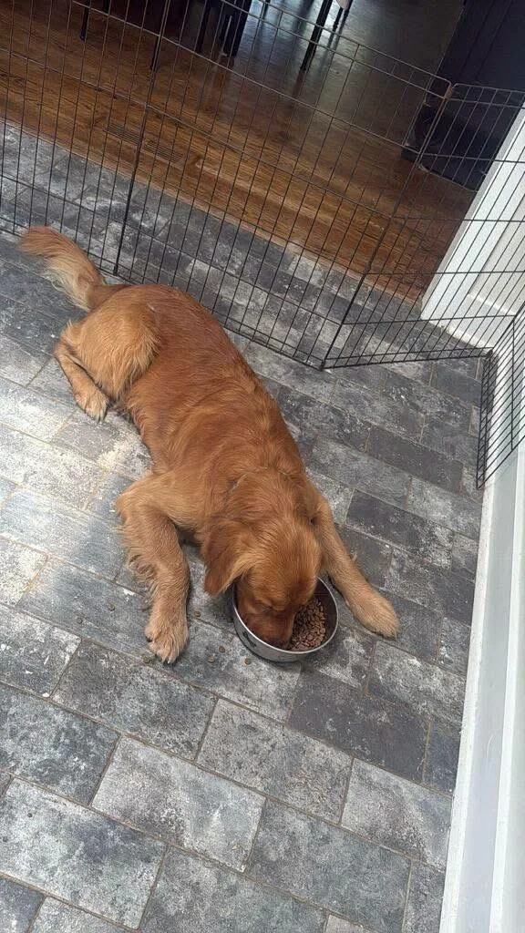 Benny