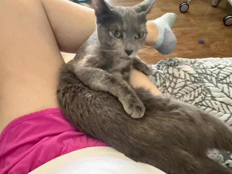 Puma Thurman thumbnail 2