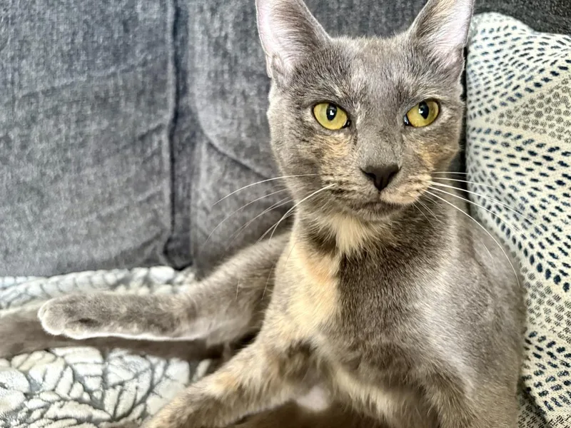 Puma Thurman thumbnail 3
